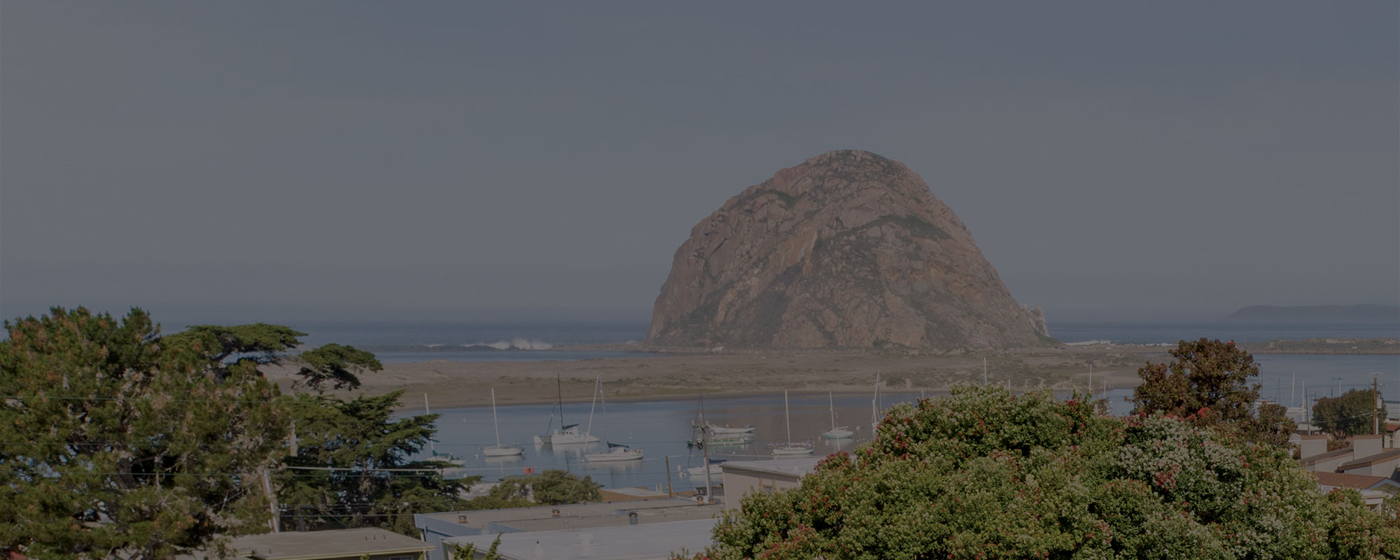Garden House Morro Bay Elder Care - Contat Us - Assisted Living Residence San Luis Obispo - Luxury Elder Care